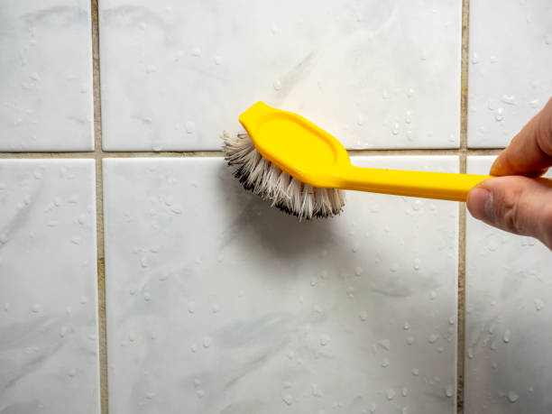 Best Residential Mold Remediation in Upper Fruitland, NM