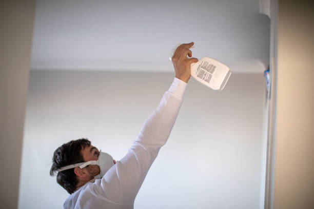 Trusted Upper Fruitland, NM Mold Remediation Experts