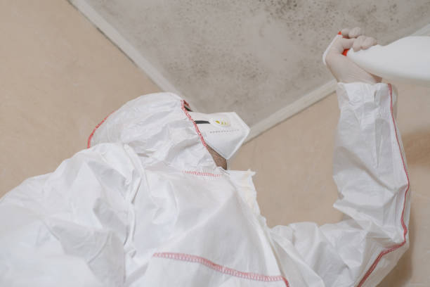 Best Post-Flood Mold Remediation in Upper Fruitland, NM